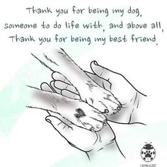 two hands holding each other with the words thank you for being my dog, someone to do