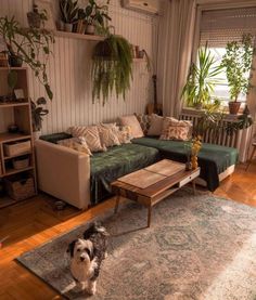 a living room filled with furniture and lots of plants