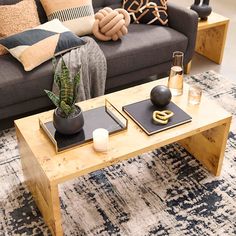 a living room with a couch, coffee table and potted plant on top of it