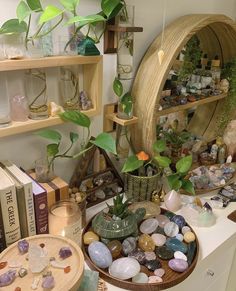 a room filled with lots of different types of rocks and plants on top of a table