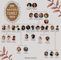 a family tree with many different people in it