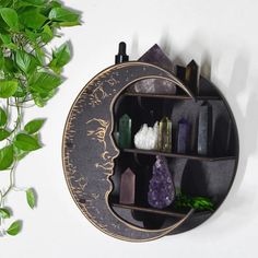 a wall mounted shelf filled with lots of different types of rocks and crystals next to a potted plant