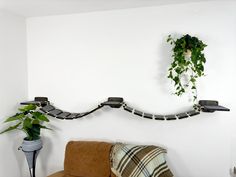 a living room with a couch, potted plant and decorative wall hanging on the wall