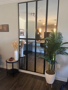 a living room filled with furniture and a plant