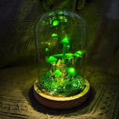 a glass dome filled with green mushrooms and moss on top of a wooden base at night