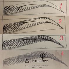 Practice step by step Tananyaphat puncharatsopha Thailand +665568519 Eyebrow Strokes, Draw Eyebrows