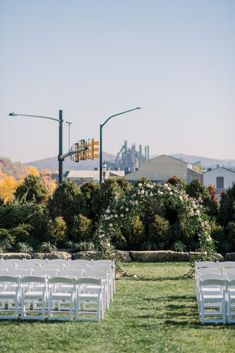 rows of white chairs sitting on top of a lush green field next to a street light