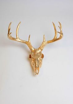 a deer's head mounted on the wall with gold colored antlers and horns