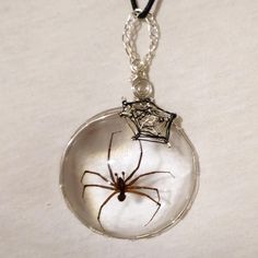 This wire wrapped brown recluse spider is a huge statement piece! It features a wire wrapped spider web, a huge brown recluse spider. This spider has been preserved in resin, immortalizing it for a lifetime. It's wrapped in silver wire and comes with your choice of chains.  Measurements:4x2.25inch. Chain options-  1. Black cord chain 18 inches with a 2 inch extender-(free) BUT YOU MUST SELECT 18in cord w/ 2in ext. 2. Black cord chain 20 inch with two inch extender. 3. Silver-PLATED snake chain 16, 18, 20, 22, and 24 inch. 4. No chain. Returns/Refunds- *Returns are accepted only if the item does not match the description.  * Buyer is responsible for return shipping costs and any loss in value if an item isn't returned in its original condition. *Tracking is suggested to ensure the return ha Wire Wrapped Spider, Bug Necklace, Recluse Spider, Brown Recluse Spider, Insect Necklace, Bug Jewelry, Brown Recluse, Spider Pendant, Spider Necklace