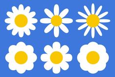 four white and yellow daisies on a blue background with the same color in the center