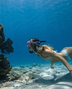 Skin Diving, Under The Water, Ocean Girl, Summer Goals, Ocean Vibes, Grand Cayman, Summer Bucket