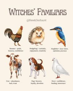 a poster with different types of animals and their names