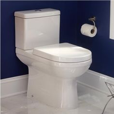 a white toilet sitting in a bathroom next to a roll of toilet paper on the wall