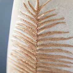 a close up view of a plant's brown and white fronds on a vase