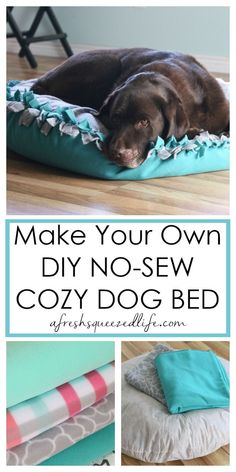 a dog laying on top of a bed with the words make your own diy no sew cozy dog bed