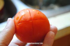 a person holding an orange ball in their hand