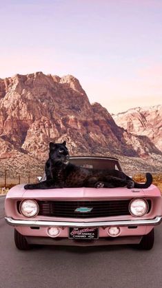 a black cat sitting on the hood of a pink car with mountains in the background