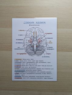 a diagram of the human brain on a piece of paper