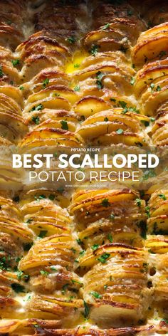 the cover of best scalloped potato recipe