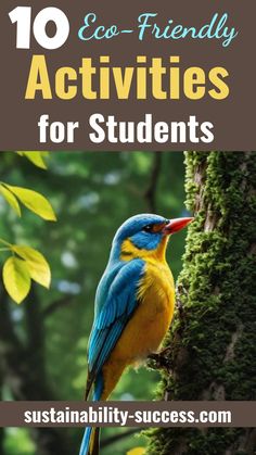 10 Environmental Activities for Students [2024] Outdoor Education, Classroom Projects