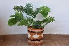 a potted plant sitting on top of a wooden floor