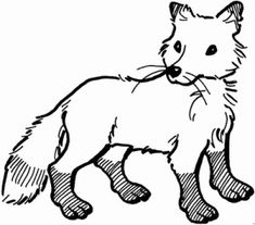 a black and white drawing of a fox