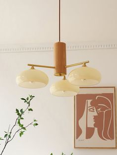 three light fixtures hang from the ceiling above a table with plants and pictures on it