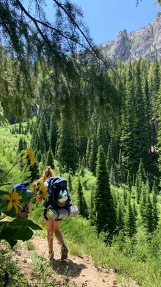 two people hiking in the mountains with backpacks on their back and trees behind them