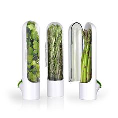 three different types of vegetables in a glass container with green stems and leaves inside it