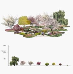 an artist's rendering of a park with various trees and flowers on the ground