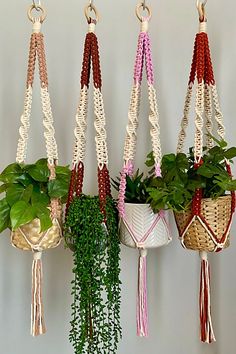 **Please note that all sales are final.** u00a0 Add a touch of bohemian flare to your home with these two-toned macrame plant hangers. Combine the natural cord with your choice of many different color options to create the perfect plant hanger of your dreams. Each plant hanger is intended for indoor use only and can hold up to a pot size of 6” wide. Pots and plants not included. u00a0 **Contents** * 100% recycled cotton * Natural wooden ring u00a0 **Care/Import** * Hand wash * Handmade in the US Macrame Plant Hanger Colorful, Macrame Plant Hanger Wall Hanging, Unique Plant Hangers, Macrame Projects Free Pattern, Macromae For Beginners, Spiral Macrame Plant Hanger, Outdoor Plant Hanger, Knot Macrame, Art Macramé