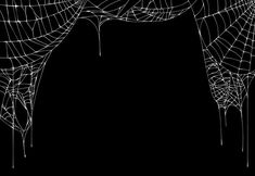 an abstract black and white background with spider webs