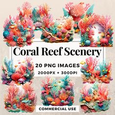 coral reef scene with 20 png images for commercial use in adobe and photoshop