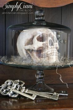 a skeleton in a glass dome with keys under it