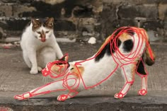 two cats playing with wires on the ground