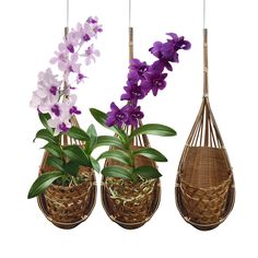 three hanging baskets with purple flowers in them