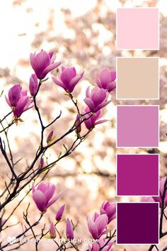 a tree with pink flowers in front of some white and purple colors on the branches