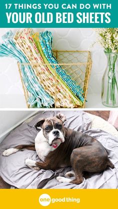 a dog laying on top of a bed next to a basket filled with blankets and pillows