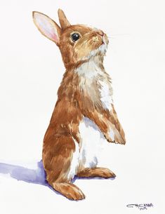 a watercolor painting of a brown and white bunny sitting on its hind legs looking up