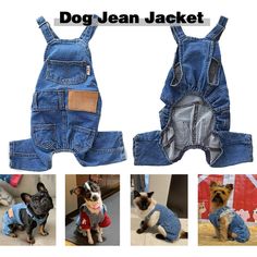 the dog is wearing overalls and has his clothes made to look like he's in jeans