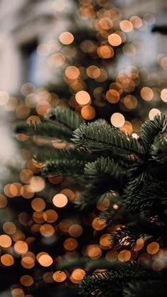 a christmas tree with lights in the background