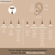 an info sheet showing the different types of ear plugs and how to use them