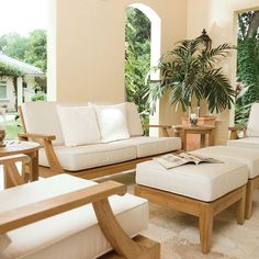 a living room filled with furniture and a potted plant