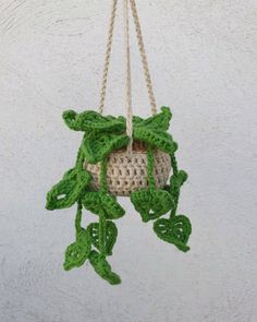 a crocheted plant hanger hanging from a rope with green leaves on it