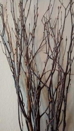 a vase filled with branches on top of a table