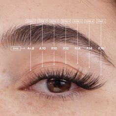 Cat Eye Lash Map, Lash Map, Natural Fake Eyelashes, Lashes Fake Eyelashes, Wispy Eyelashes, Cat Eye Lash, Lash Extensions Styles, Eyelash Extensions Styles, Perfect Eyelashes