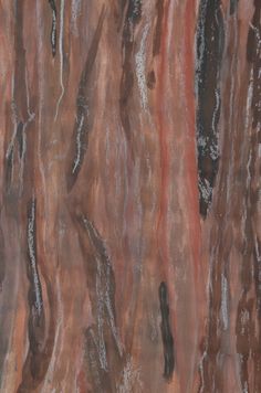 an abstract painting with brown, black and white lines on the side of a tree trunk