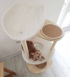 a cat laying on top of a scratching post in a room with white walls and wooden floors