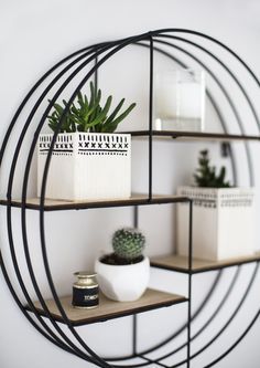 some plants are sitting on shelves in a room with white walls and black metal frames