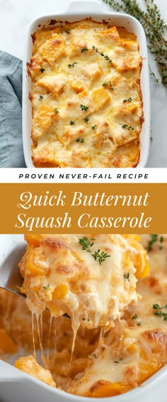 Image for Quick Butternut Squash Casserole Savory Butternut Squash Casserole, Butter Squash Casserole, Scalloped Butternut Squash Recipes, Winter Squash Casserole Recipes, What To Cook With Butternut Squash, Carrot And Butternut Squash Recipe, Easy Butternut Squash Casserole, Butternut Squash Casserole Recipes Easy, Butternut Stuffed Squash